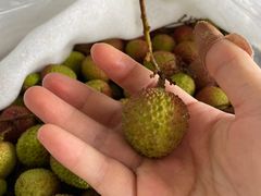 -西郊国际农产品交易中心