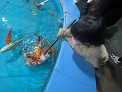 -洛阳龙门海洋馆