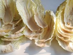 -T11生鲜超市(朝阳公园店)