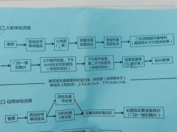 -深圳市宝安区妇幼保健院