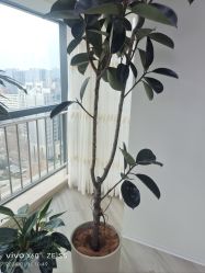 -HEYAN荷妍专业脱毛连锁机构