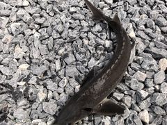 -DGE季风钓虾营地·团建·聚会