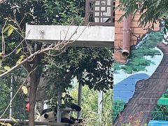 -苏州太湖国家湿地公园