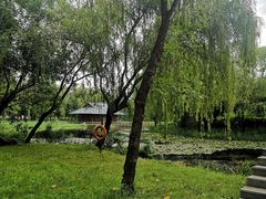 -微山湖红荷湿地景区