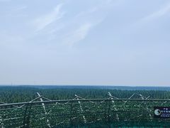 -黄海国家森林公园