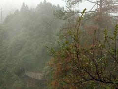 -石台牯牛降景区