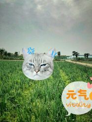 -麦粒鸟亲子游
