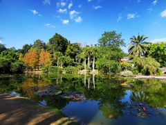 -中国科学院西双版纳热带植物园