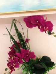 -薇兰专业脱毛连锁机构