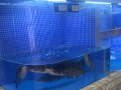 -香山湖渔家大院