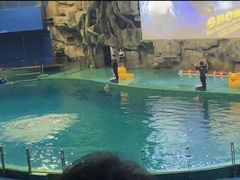 -威海华夏城景区