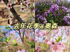 -奥林匹克森林公园南门-停车场