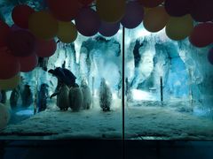 -帝企鹅自助餐厅•儿童岛•真企鹅(长隆企鹅酒店)