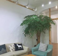 -绿皮火车照相馆 婚纱照旅拍(厦门店)