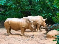 -北京野生动物园