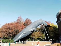 -秋叶原电器街