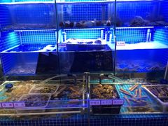 水产区-捞围鲜·港式打边炉(海阳路店)