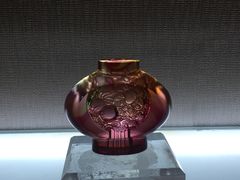 -云中小雅