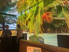 -大头椰·椰子鸡火锅(南宁万象城店)