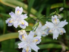 -上海滨江森林公园