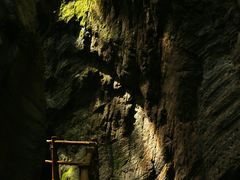 -牛背梁国家森林公园