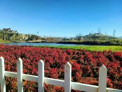 -呈贡滇池生态湿地公园