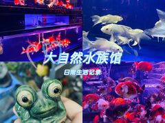 -大自然花鸟鱼虫市场