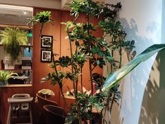 -Wagas沃歌斯(枫蓝国际店)