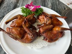 -鸽鸟轩(石岐店)