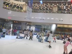 -TheRink大零溜冰场(IFS国金中心店)