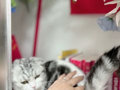 -seeu coffee(江滩店)