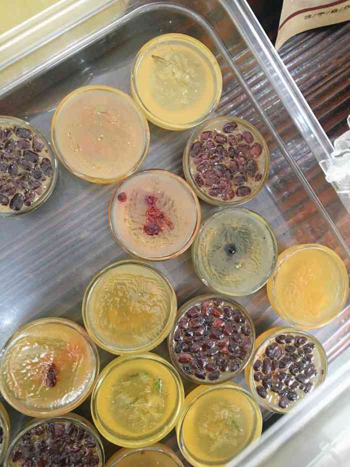 周大娘牛乳(旧寨总店)-"没想到这么偏的地方会有这么多人来吃,小巷.