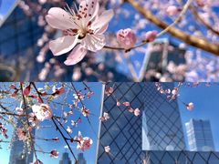 -王府井步行街