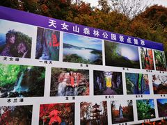 -天女山森林公园