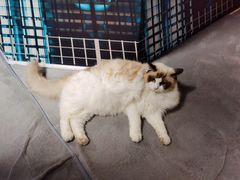 -零纪元VR体验馆·桌游(黄浦店)