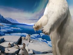 -陕西自然博物馆