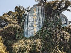 -云南野生动物园