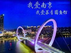 -丁老爷子苏香圆