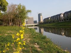 -新江湾城公园