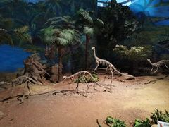 -自贡恐龙博物馆