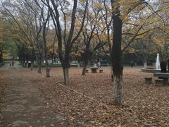 -山东大学(趵突泉校区)