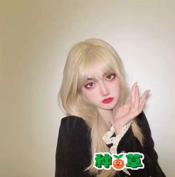 -YESIDO椰岛造型