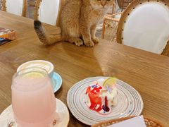 -共舞时光猫咖·狗咖(新街口店)
