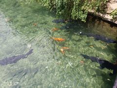 -姑婆山旅游区