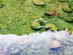 -宁波五龙潭景区