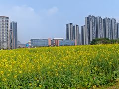 -光明小镇欢乐田园