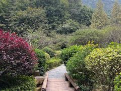 -桃花岭景区