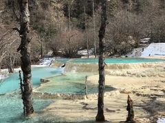 -黄龙山原始森林景区