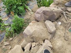 -三圣花乡旅游区