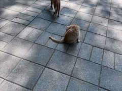 -晓港公园